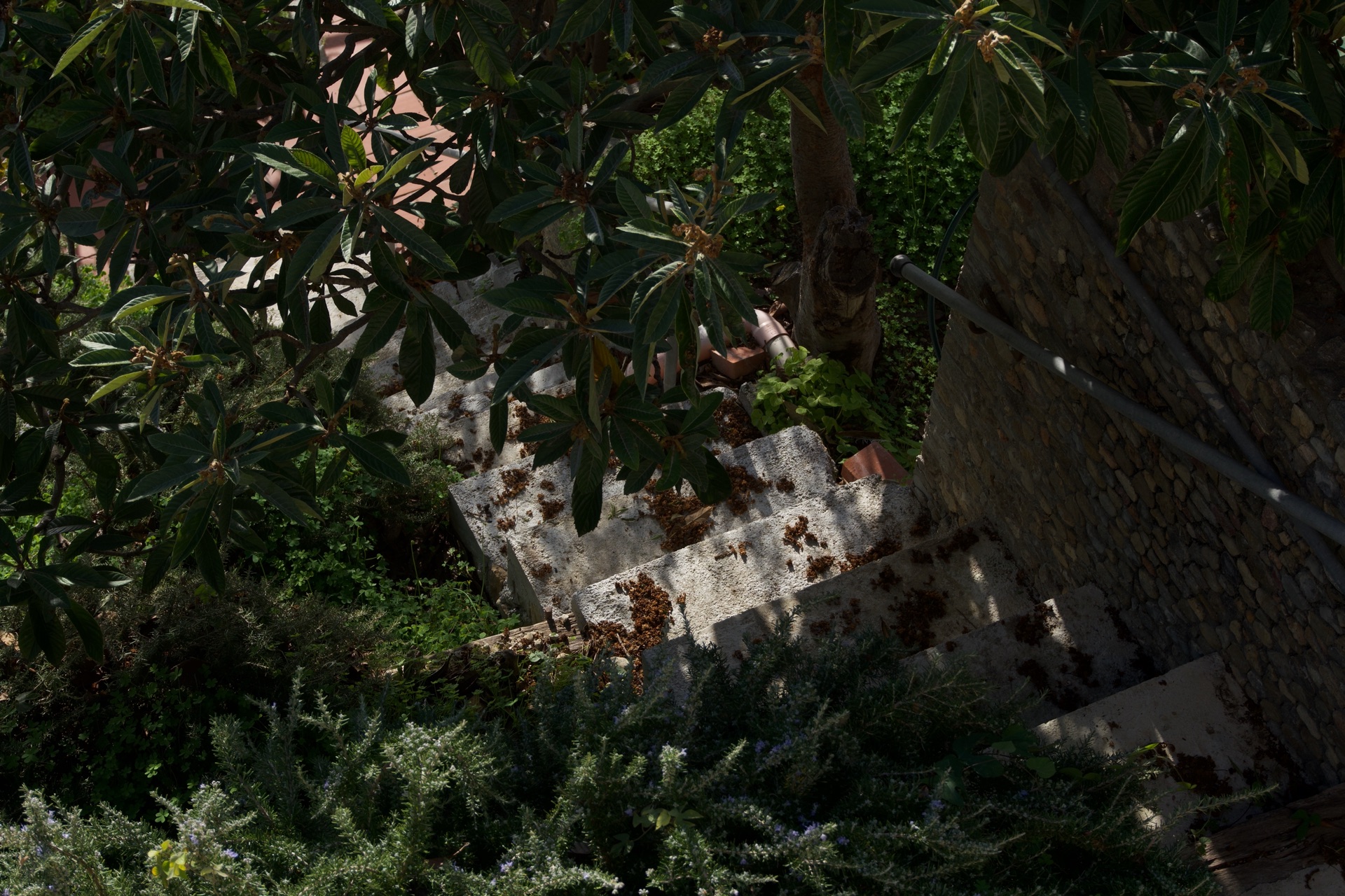 Riviera landscape view 1