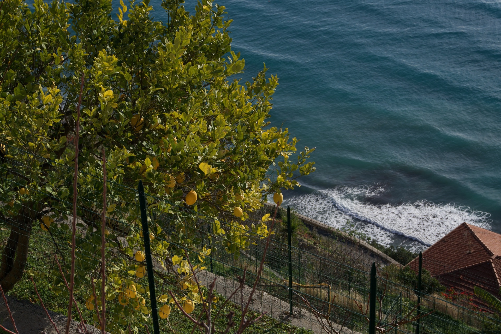 Riviera landscape view 2