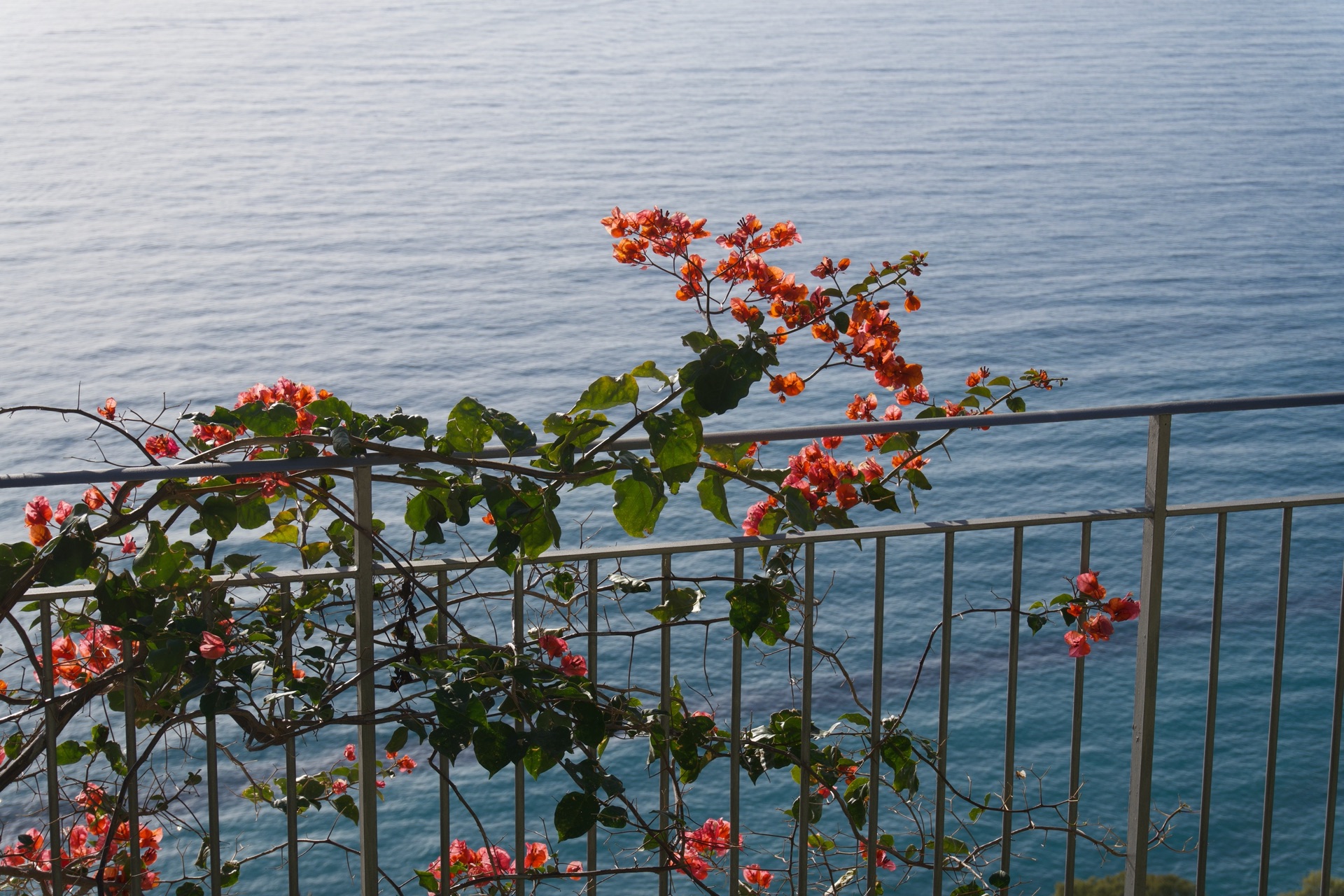 Riviera landscape view 4